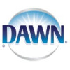 Dawn Professional